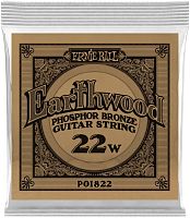 ERNIE BALL 1822 Earthwood Phosphor Bronze .022